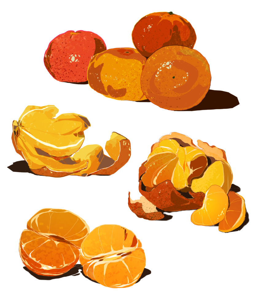 collage food food_focus fruit highres mandarin_orange mandarin_orange_slice monochrome no_humans orange_(fruit) orange_peel orange_slice orange_theme original realistic simple_background still_life victoria_joh white_background