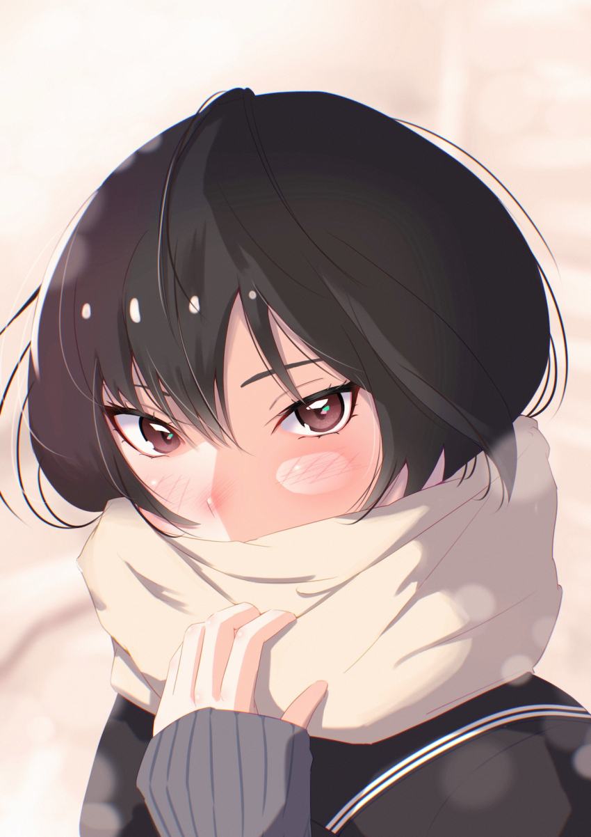 1girl adjusting_scarf amagami black_cardigan black_hair black_sailor_collar blurry blush bokeh borrowed_clothes brown_eyes cardigan close-up commentary covered_mouth depth_of_field enpera eyelashes grey_sweater hair_between_eyes hair_strand hand_up highres kibito_high_school_uniform looking_at_viewer nanasaki_ai nose_blush oshizu portrait sailor_collar scarf school_uniform short_hair solo sweater white_scarf