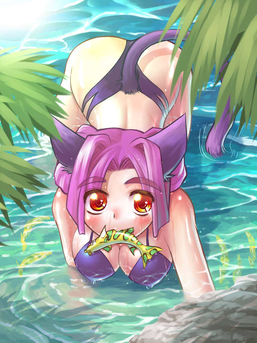 1girl animal_ears bad_id bad_pixiv_id bikini blush breasts cat_ears cat_tail covered_erect_nipples female_focus fish highres large_breasts mouth_hold original purple_bikini purple_hair r-ex red_eyes short_hair solo swimsuit tail water wet