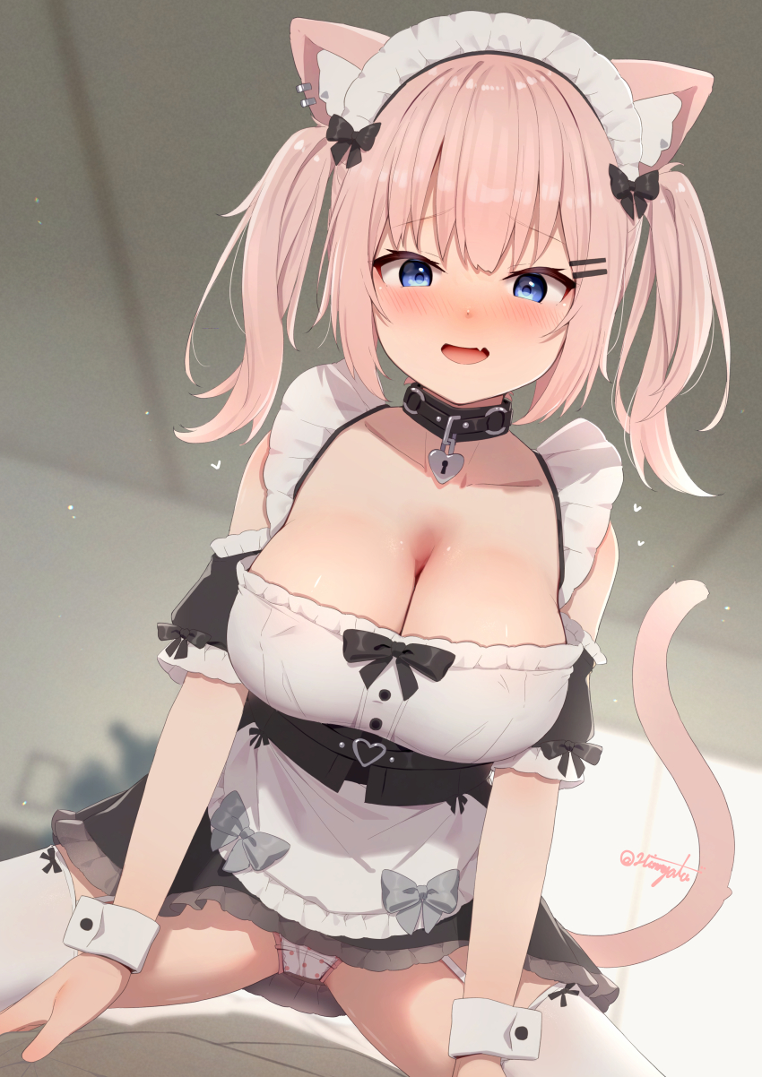 1girl absurdres animal_ears apron black_collar blue_eyes blush breasts cat_ears cat_girl cat_tail cleavage collar collarbone highres hinata_(user_rjkt4745) large_breasts looking_at_viewer maid maid_apron maid_headdress medium_hair original panties pink_hair solo tail twintails underwear white_panties