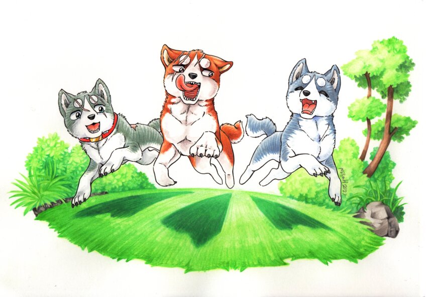 absurdres akita_inu animal animal_focus claws closed_eyes collar dog ginga_(franchise) ginga_densetsu_weed grass highres joe_(ginga_densetsu_weed) no_humans open_mouth outdoors rock running scar signature stepihukari traditional_media tree weed_(ginga_densetsu_weed) yukimura_(ginga_densetsu_weed)