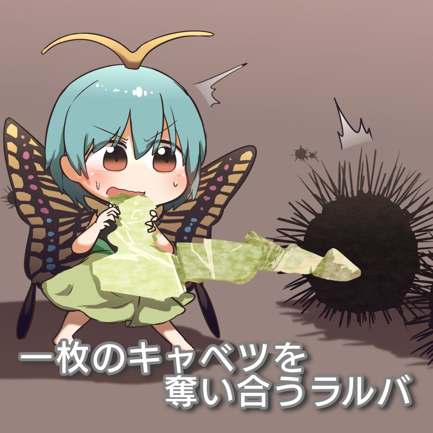 1girl animal antennae aqua_hair barefoot blush brown_background brown_eyes butterfly_wings cabbage dress eternity_larva fairy food green_dress hair_between_eyes highres holding holding_food holding_vegetable insect_wings kyoukei_usagi leaf leaf_on_head multicolored_dress open_mouth shadow short_hair short_sleeves simple_background single_strap solo touhou translation_request urchin vegetable wings