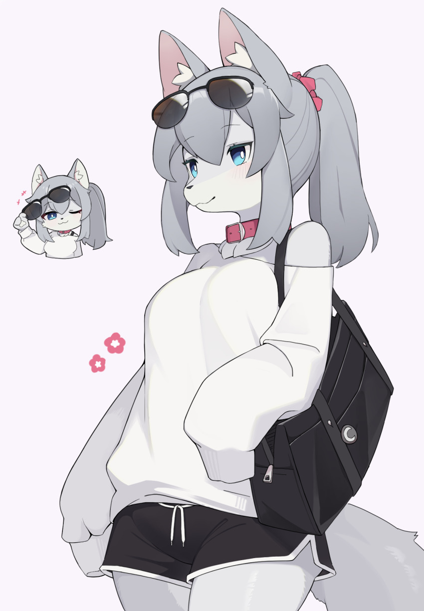 +++ 1girl :3 animal_ear_fluff animal_ears animal_hands bag belt_collar black_bag black_shorts blue_eyes bra_strap chibi chibi_inset collar cowboy_shot dolphin_shorts double-parted_bangs drawstring eyewear_lift eyewear_on_head flower furry furry_female grey_hair hair_between_eyes high_ponytail highres holding holding_removed_eyewear light_blush liteee long_hair looking_at_viewer multiple_views neck_ruff off_shoulder one_eye_closed original ponytail red_collar red_scrunchie removing_eyewear scrunchie shorts shoulder_bag sidelocks simple_background sleeve_cuffs sleeves_past_fingers sleeves_past_wrists smile sunglasses sweater tail unworn_eyewear white_background white_fur white_sweater wolf wolf_ears wolf_girl wolf_tail