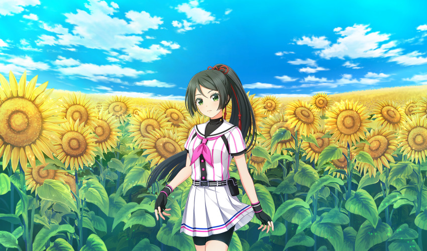 1girl baseball_uniform belt belt_buckle belt_pouch bike_shorts_under_skirt black_belt black_gloves black_hair black_pouch black_shorts black_undershirt blue_sky buckle cinderella_series closed_mouth cloud field fingerless_gloves flower flower_field game_cg gloves green_eyes hachigatsu_no_cinderella_nine hair_ribbon high_ponytail highres long_hair looking_at_viewer neckerchief non-web_source official_art outdoors pink_neckerchief pleated_skirt pouch red_ribbon ribbon satogahama_baseball_uniform shirt shirt_under_shirt short_sleeves shorts skirt sky solo sportswear standing striped_belt striped_clothes striped_shirt sunflower sunflower_field tsukahara_shizuku vertical-striped_clothes vertical-striped_shirt wristband