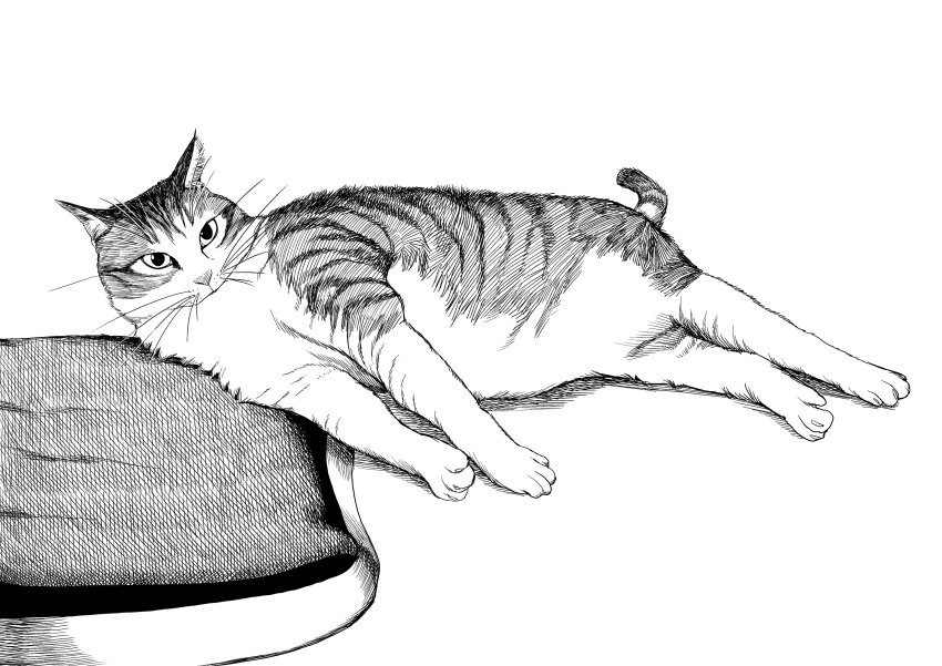 absurdres animal animal_focus cat commentary_request ears_back greyscale highres korean_commentary looking_ahead lying monochrome no_humans on_side original pillow sat0_manga simple_background stretching striped_fur tabby_cat whiskers white_background