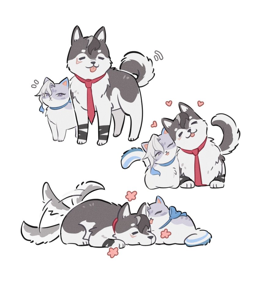 :&lt; :3 :p =_= afterimage animalization bandaged_leg bandages cat closed_eyes closed_mouth commentary dog english_commentary flower_(symbol) genshin_impact heart highres licking lin_(chuuchuyi) looking_at_viewer motion_lines multiple_views necktie neuvillette_(genshin_impact) notice_lines nuzzle one_eye_closed purple_eyes red_necktie scar scar_on_face simple_background smile tail tail_wagging tongue tongue_out white_background wriothesley_(genshin_impact)