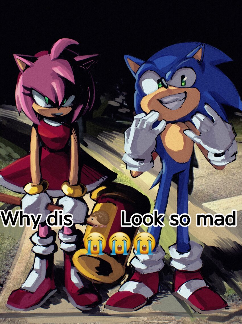 1boy 1girl absurdres amy_rose commentary copium_v derivative_work emoji english_commentary english_text full_body furry furry_female furry_male gang_sign glaring gloves green_eyes grin hammer highres holding holding_hammer meme night outdoors red_footwear smile sonic_(series) sonic_the_hedgehog white_gloves why_dis_ninja_look_so_mad_(meme)