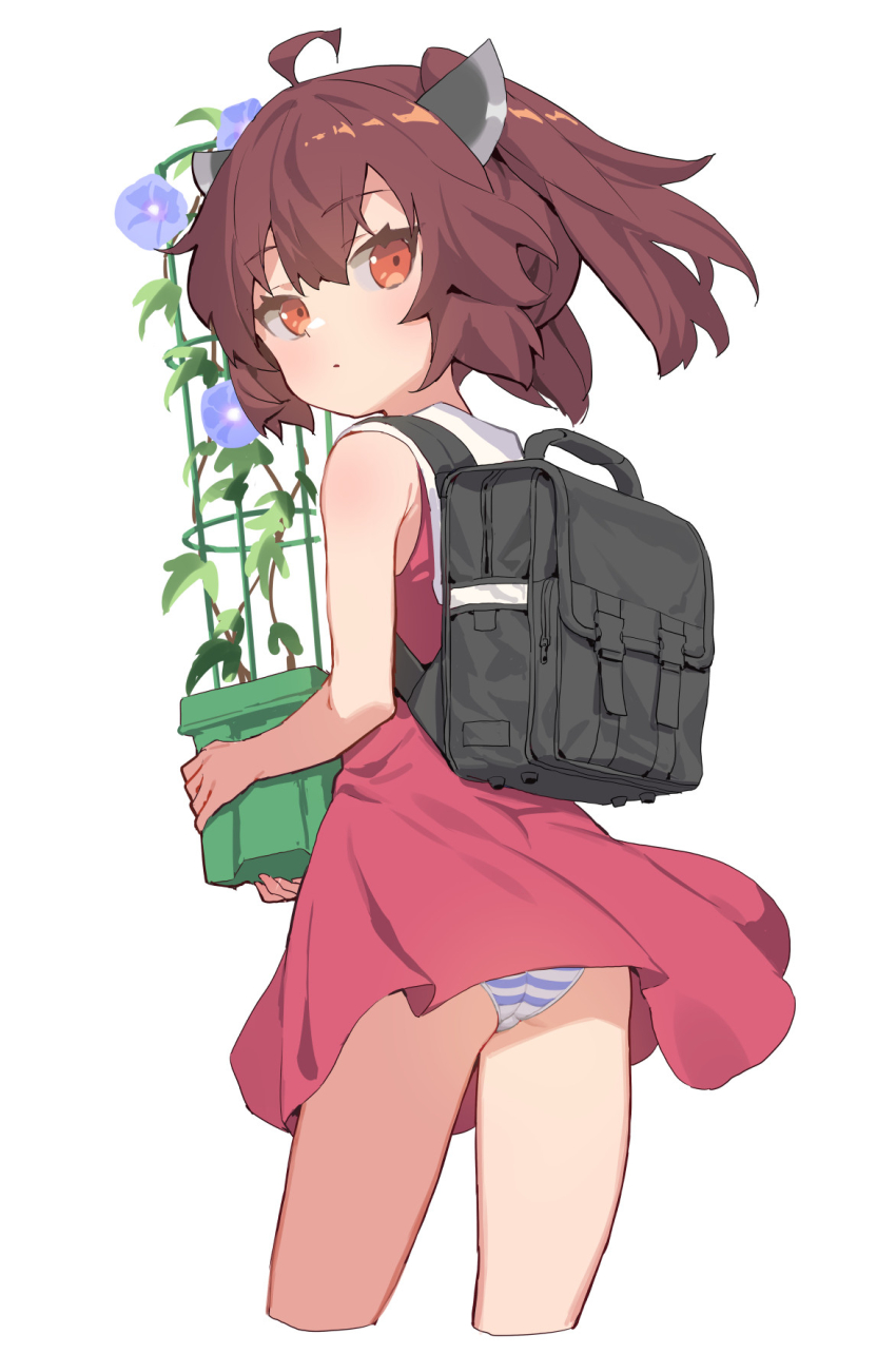 1girl ahoge ass backpack bag blush brown_hair commentary_request dress expressionless flower from_behind headgear highres looking_at_viewer looking_back orange_eyes panties pantyshot plant potted_plant red_dress sailor_dress short_hair simple_background solo striped_clothes striped_panties touhoku_kiritan trellis underwear voiceroid white_background yamamomo_(plank)