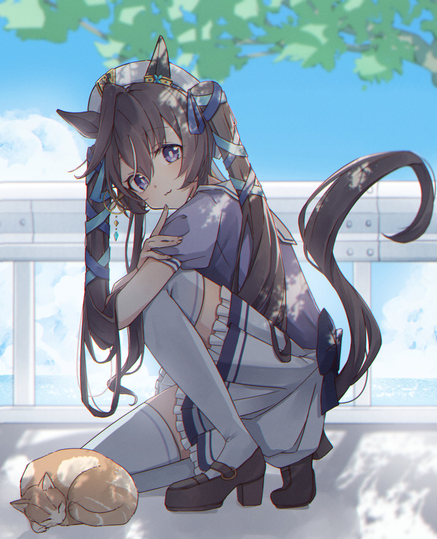 1girl :3 absurdres animal_ears bow bowtie brown_footwear brown_hair cat commentary_request ear_covers ezaki_hiyori from_side hair_between_eyes highres horse_ears horse_girl horse_tail horseshoe_ornament kneeling loafers long_hair looking_at_viewer looking_to_the_side multicolored_hair partial_commentary pleated_skirt puffy_short_sleeves puffy_sleeves purple_bow purple_bowtie purple_eyes purple_serafuku purple_shirt sailor_collar sailor_shirt school_uniform serafuku shirt shoes short_sleeves single_ear_cover skirt sleeping streaked_hair tabby_cat tail thighhighs tracen_school_uniform twintails umamusume vivlos_(umamusume) white_skirt white_thighhighs