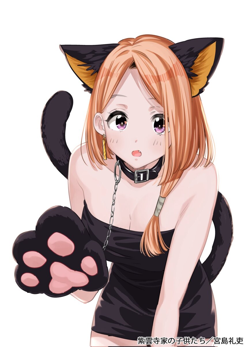 1girl animal_collar animal_ears animal_hands bare_shoulders black_collar black_dress breasts cat_day cat_ears cat_paw cat_tail chain chain_leash cleavage collar dress fake_animal_ears fake_tail fang gloves highres leaning_forward leash looking_at_viewer medium_hair miyajima_reiji official_art open_mouth orange_hair parted_bangs paw_gloves promotional_art purple_eyes shiunji-ke_no_kodomotachi shiunji_banri short_dress simple_background single_sidelock solo strapless strapless_dress tail upper_body white_background