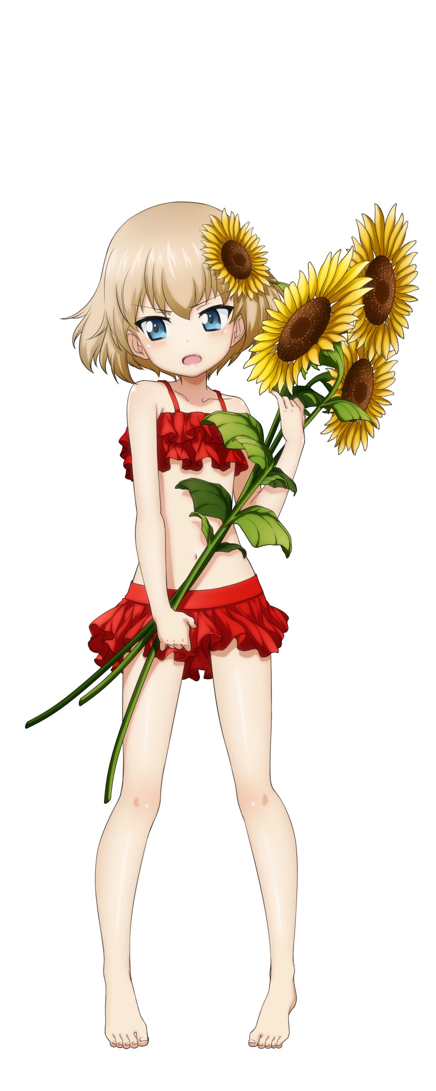 10s 1girl absurdres barefoot bikini blue_eyes fang feet female_focus flower frilled_bikini frills full_body girls_und_panzer hair_flower hair_ornament highres holding katyusha_(girls_und_panzer) light_brown_hair looking_at_viewer navel official_art open_mouth red_bikini ruffle_bikini short_hair simple_background solo sunflower swimsuit toes white_background