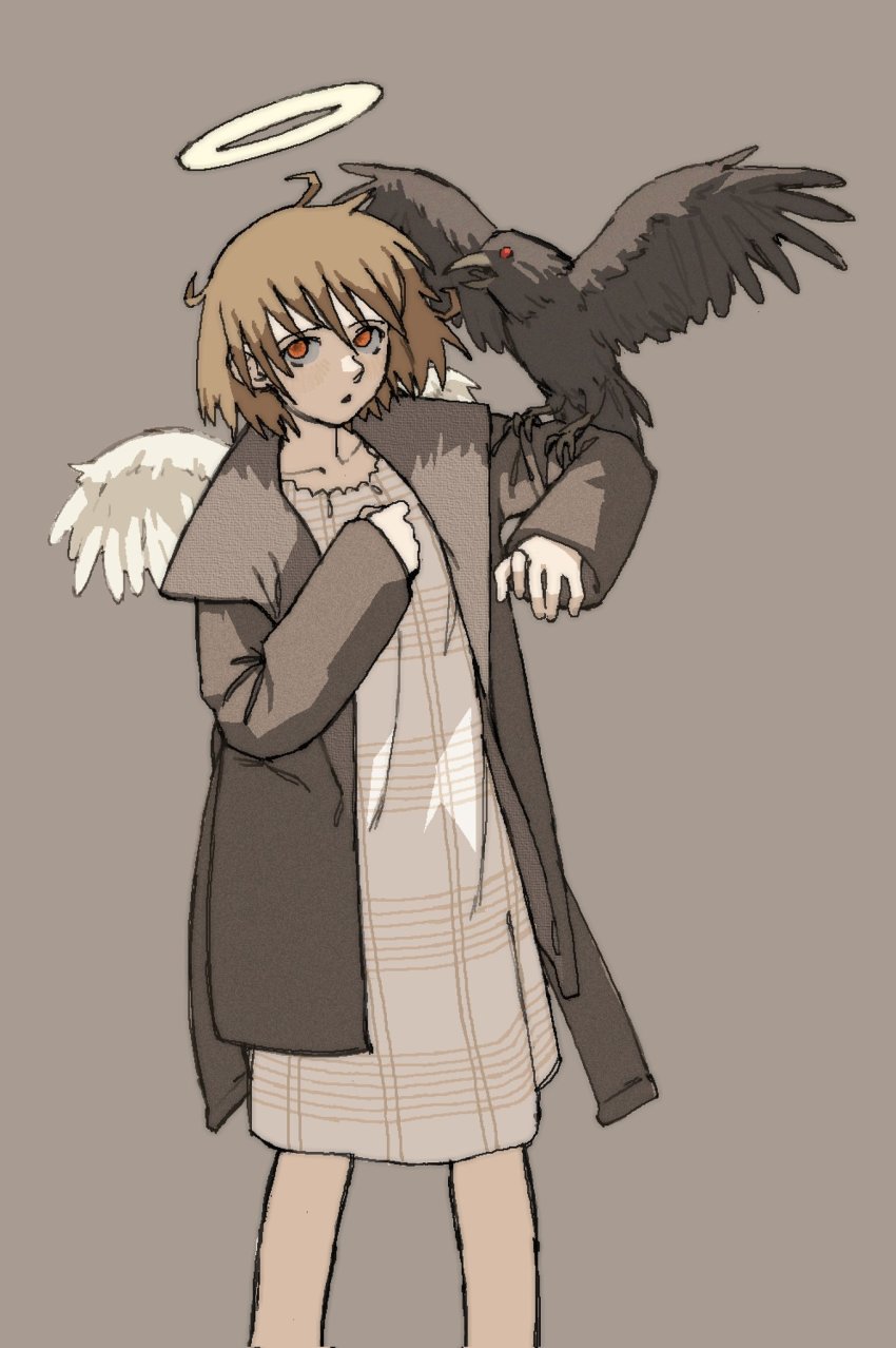 1girl angel angel_wings animal animal_on_shoulder bare_legs bird bird_on_shoulder black_feathers black_wings brown_coat brown_hair brown_theme coat crow dress feathered_wings feathers grey_wings haibane_renmei halo highres jacket light_brown_background long_coat long_sleeves looking_at_viewer messy_hair open_clothes open_coat orange_eyes overcoat pantsu-ripper rakka_(haibane) short_hair solo static_cling traditional_halo wings