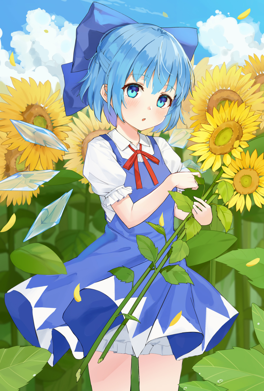 1girl :o blouse blue_dress blue_eyes blue_hair blue_sky blush bow chinese_commentary cirno cloud collared_shirt commentary_request cowboy_shot day dishiren dress field flower flower_field frilled_sleeves frills hair_bow half_updo hand_up highres holding holding_flower ice ice_wings looking_at_viewer neck_ribbon open_mouth outdoors petals pinafore_dress plant puffy_sleeves red_ribbon ribbon shirt short_hair sidelocks sky sleeveless sleeveless_dress sunflower sunflower_field sunflower_petals touhou upskirt water_drop white_shirt wing_collar wings yellow_flower