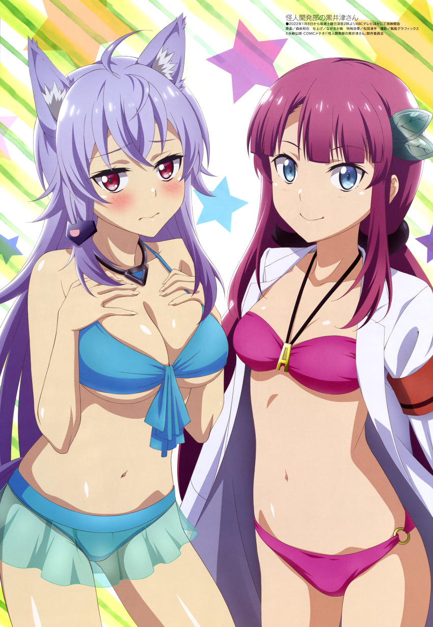 2girls absurdres animal_ears bikini blue_eyes blush breasts cleavage genderswap genderswap_(mtf) highres jewelry kaijin_kaihatsu-bu_no_kuroitsu-san kuroitsu_touka long_hair looking_at_viewer megami_magazine morimae_kazuya multiple_girls navel necklace official_art open_clothes open_shirt purple_hair red_eyes red_hair see-through_clothes smile swimsuit tail wolf_bate wolf_ears wolf_girl