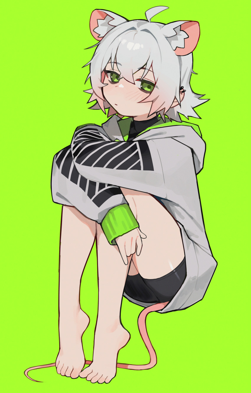 1girl ahoge animal_ear_fluff animal_ears arms_on_knees bare_legs barefoot bike_shorts black_shirt blush closed_mouth crossed_arms crossed_bangs ear_piercing feet full_body green_background green_eyes grey_hair grey_hoodie hair_between_eyes highres hood hood_down hoodie hugging_own_legs jewelry knees_up long_sleeves looking_at_viewer mouse_ears mouse_girl mouse_tail original perl_(vertigris) piercing shirt short_hair sidelocks simple_background sitting sleeves_past_wrists solo tail toes turtleneck vertigris