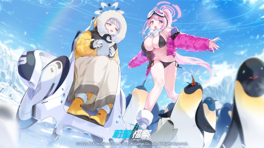 2girls animal bikini bird black_bikini blue_archive blush boots breasts cleavage day eimi_(blue_archive) eimi_(swimsuit)_(blue_archive) gloves goggles goggles_on_head grey_hair grey_halo halo highres himari_(blue_archive) jacket large_breasts long_hair long_sleeves multiple_girls official_alternate_costume official_alternate_hairstyle official_art ohland open_clothes open_jacket open_mouth outdoors penguin pink_eyes pink_hair pink_halo pink_jacket ponytail powered_wheelchair purple_eyes scarf smile swimsuit wheelchair white_footwear white_gloves white_scarf yellow_footwear