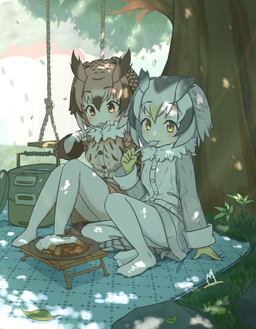 2girls absurdres arm_up brown_eyes brown_jacket chinese_commentary commentary_request eating eurasian_eagle_owl_(kemono_friends) flower food_request fur-trimmed_jacket fur_trim gloves hair_between_eyes highres holding holding_spoon jacket kemono_friends leaf long_sleeves looking_at_object looking_at_viewer multicolored_hair multiple_girls northern_white-faced_owl_(kemono_friends) onefiresticks outdoors pantyhose picnic plate sitting spoon swing tree white_jacket white_pantyhose yellow_flower yellow_gloves