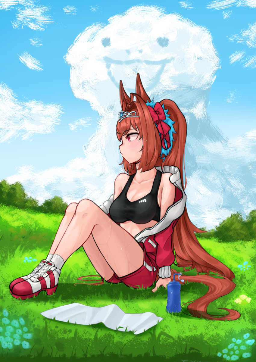 1girl absurdres blue_sky blush breasts close-up cloud cloudy_sky collarbone daiwa_scarlet_(umamusume) dripping field hair_ribbon highres horse_girl jacket landscape long_hair looking_away medium_breasts on_grass open_clothes open_jacket orange_hair outdoors painting_(medium) rabbitballoon red_eyes ribbon shoes sidelocks sitting sky sports_bra sweat tiara traditional_media tree turning_head umamusume wet wet_hair