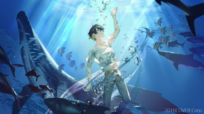 1boy absurdres air_bubble arm_up belt black_footwear black_hair blonde_hair bubble copyright_notice feet_out_of_frame fish grey_pants hair_between_eyes highres holostars light_rays male_focus midriff_peek multicolored_hair official_art pants parted_lips profile school_of_fish serita_jon shark shirt shoes short_hair sneakers solo t-shirt tropical_fish two-tone_hair underwater virtual_youtuber whale white_shirt yatogami_fuma yellow_belt yellow_eyes