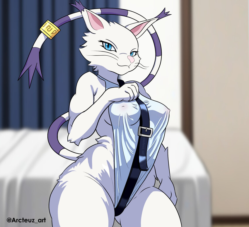 animal_ears cat cat_ears digimon digimon_(creature) furry furry_female gloves holy_ring tail tailmon