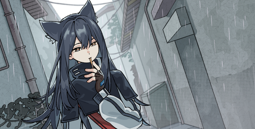 1girl animal_ear_fluff animal_ears arknights black_capelet black_gloves black_hair brown_eyes capelet chinese_commentary city commentary_request double-parted_bangs dutch_angle favilia fingerless_gloves food food_in_mouth gloves hair_between_eyes jacket long_hair long_sidelocks looking_down outdoors pocky pocky_in_mouth rain sidelocks solo texas_(arknights) white_jacket wolf_ears