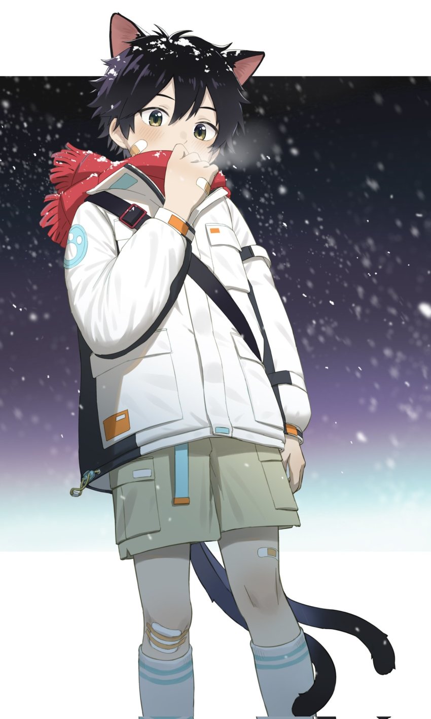 1boy animal_ears bandaid cat_boy cat_ears cat_tail coat commentary_request gloves highres luye_yuan mittens night night_sky original outdoors scarf shorts sky snow snowflakes snowing tail winter yellow_eyes