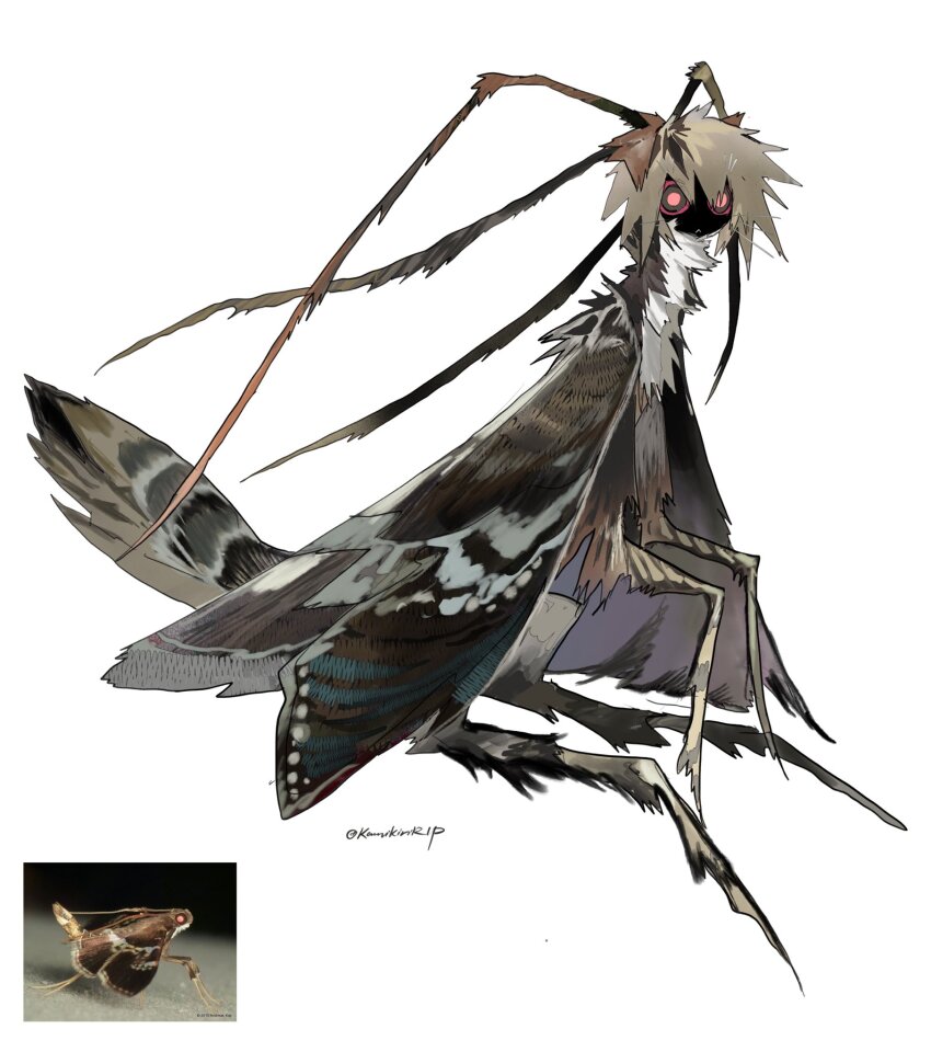 1other antennae black_skin body_fur colored_skin creature_and_personification full_body grey_hair highres insect_wings kamikiririp messy_hair monster original other_focus personification red_eyes reference_inset simple_background sitting solo twitter_username white_background wings