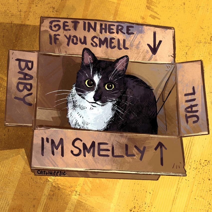 absurdres animal animal_focus arrow_(symbol) black_cat box cardboard_box cat catwheezie commentary english_commentary english_text floor highres in_box in_container indoors looking_at_viewer meme no_humans original photo-referenced shadow sitting whiskers yellow_eyes