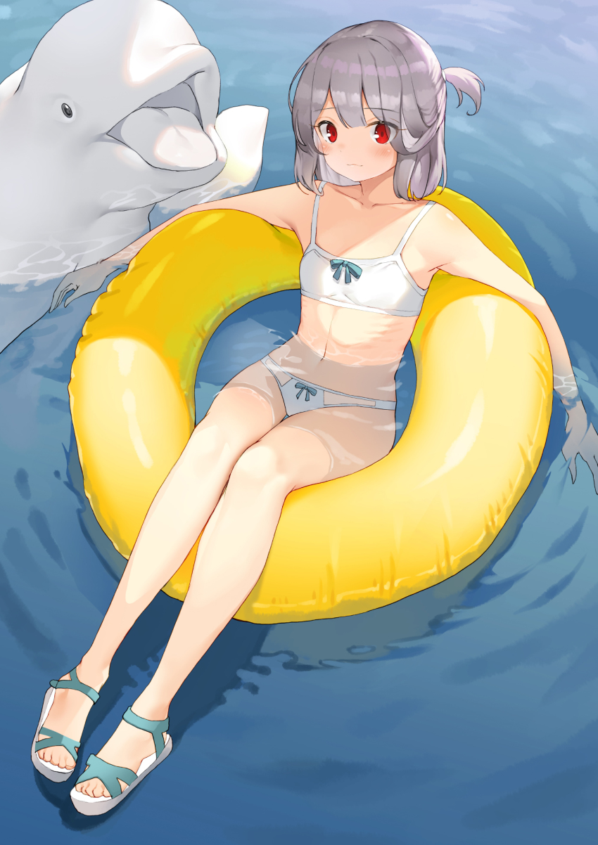 1girl :3 animal bare_arms bare_legs bare_shoulders bikini blush bow bow_bikini breasts closed_mouth commentary day dduck_kong english_commentary full_body grey_hair highres innertube looking_at_viewer navel one_side_up original outdoors partially_submerged red_eyes sandals small_breasts solo swim_ring swimsuit water whale white_bikini white_footwear