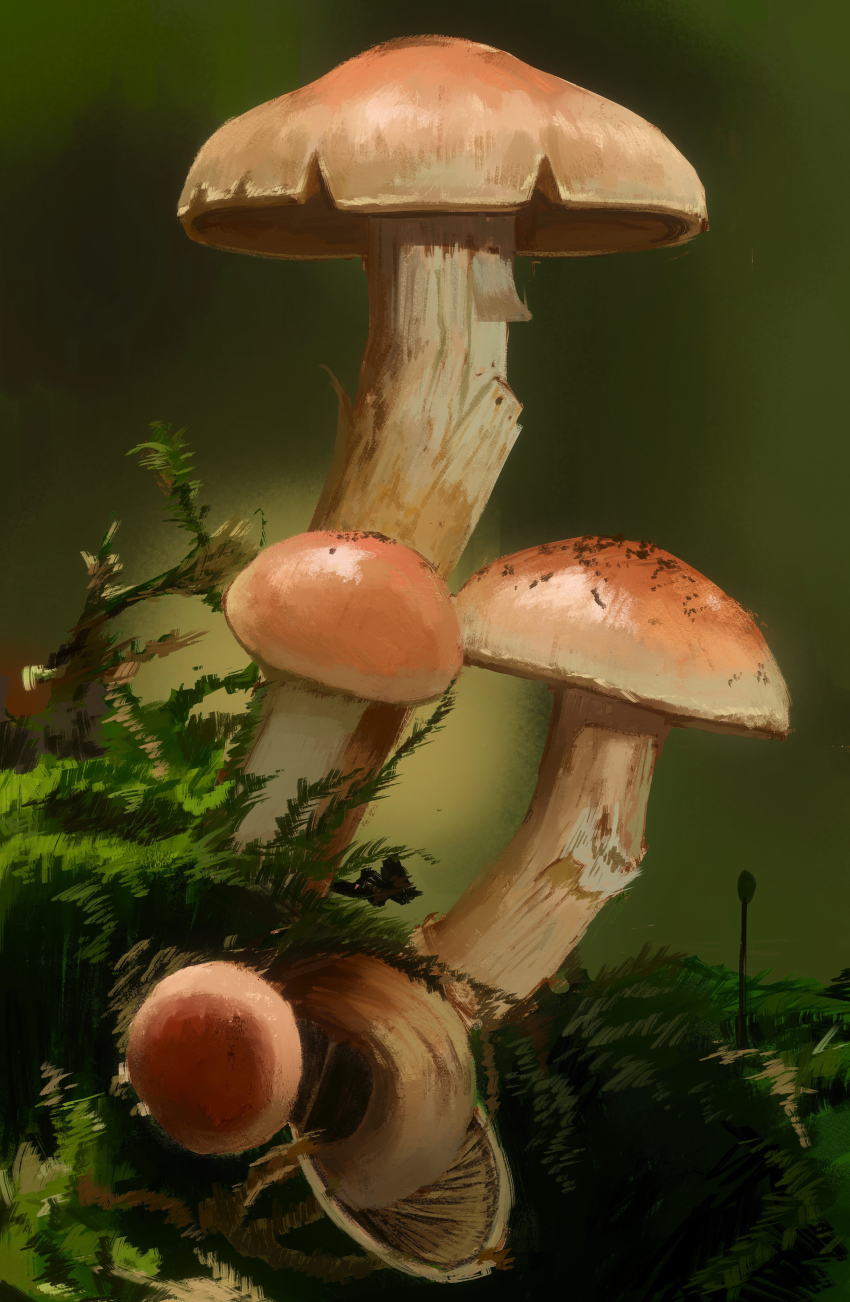 absurdres derivative_work fungi highres moss mushroom no_humans original outdoors plant plant_focus rei_(lappy_mofumofu)