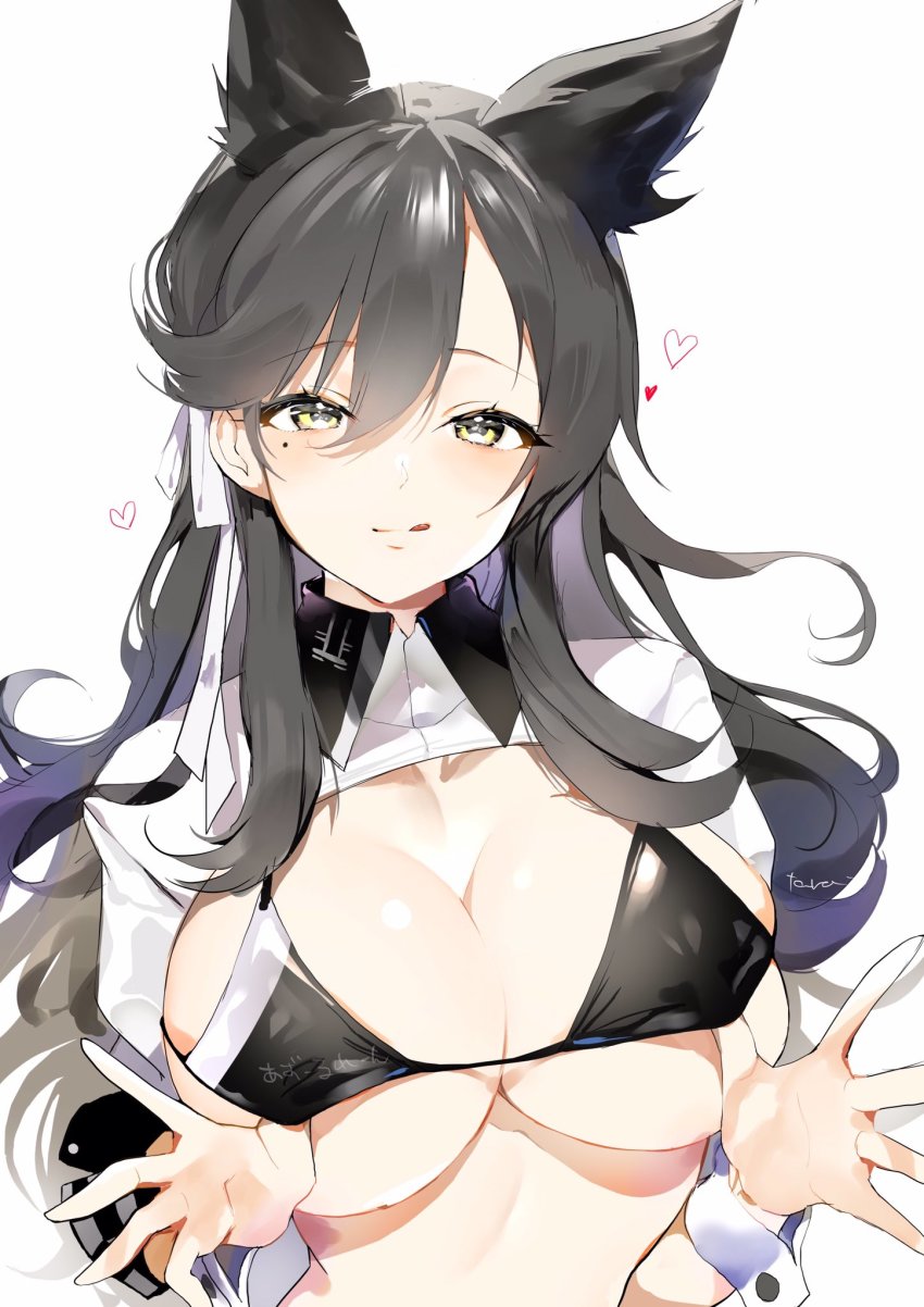 1girl :q alternate_costume animal_ears atago_(azur_lane) atago_(stunning_speedster)_(azur_lane) azur_lane bikini bikini_pull black_bikini black_hair blush breasts brown_eyes cleavage clothes_pull extra_ears hair_between_eyes hair_ribbon head_tilt heart highres hoerutarou jacket large_breasts long_hair long_sleeves looking_at_viewer mole mole_under_eye pulling_own_clothes race_queen ribbon solo swept_bangs swimsuit tongue tongue_out white_jacket white_ribbon