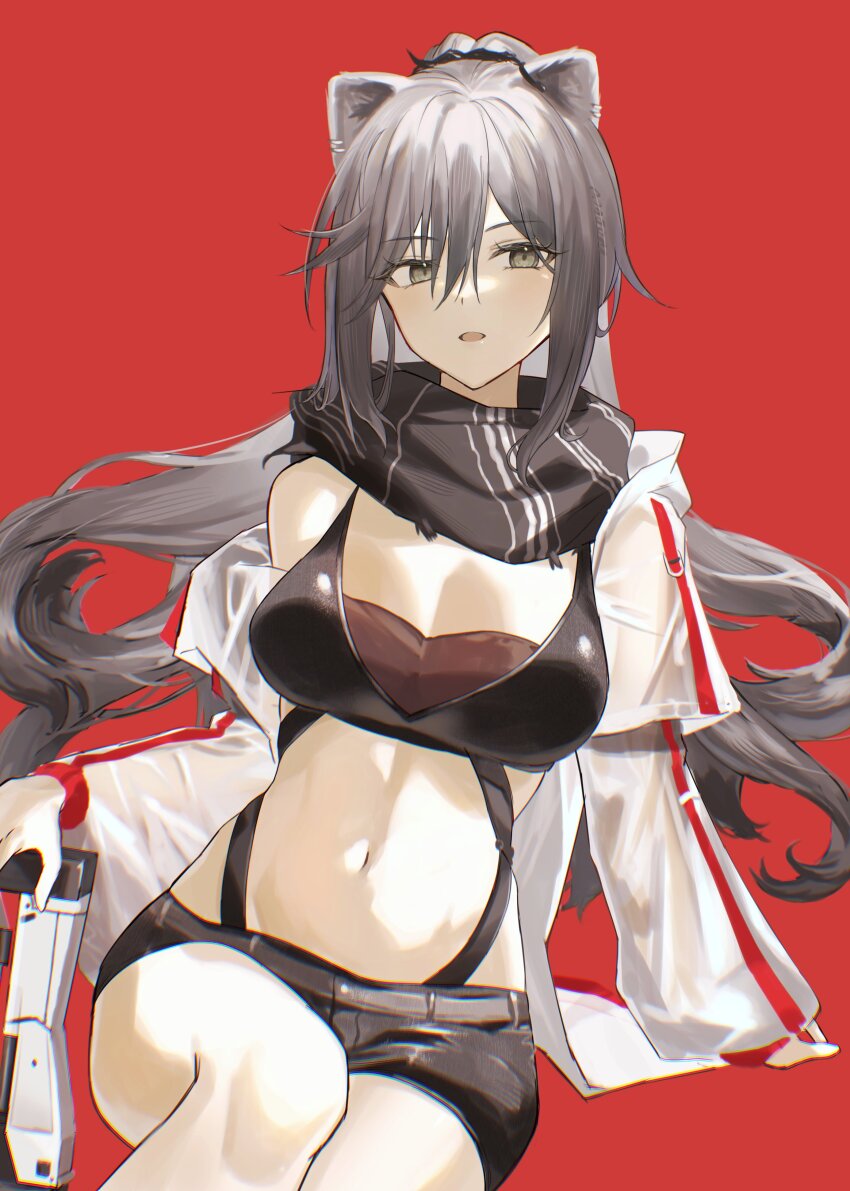 1girl 2naom8q6gt87292 absurdres animal_ears arknights belt black_scarf black_shorts bow_(weapon) breasts cat_ears cat_girl cleavage commentary crop_top crossbow eyelashes feet_out_of_frame grey_belt grey_eyes grey_hair hair_between_eyes highres jacket large_breasts long_hair looking_at_viewer navel off_shoulder open_clothes open_jacket open_mouth ponytail red_background scarf schwarz_(arknights) see-through_clothes see-through_jacket short_shorts shorts simple_background sitting solo stomach weapon white_jacket