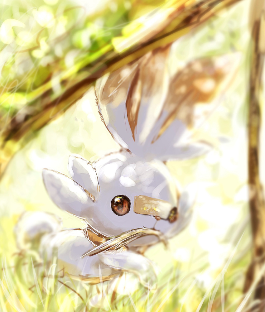 :3 animal_focus animal_nose backlighting blurry closed_mouth creatures_(company) dappled_sunlight day depth_of_field game_freak gen_8_pokemon grass highres looking_at_viewer mouth_hold neverland+ nintendo no_humans outdoors pokemon pokemon_(creature) rabbit red_eyes running scorbunny solo sunlight tree