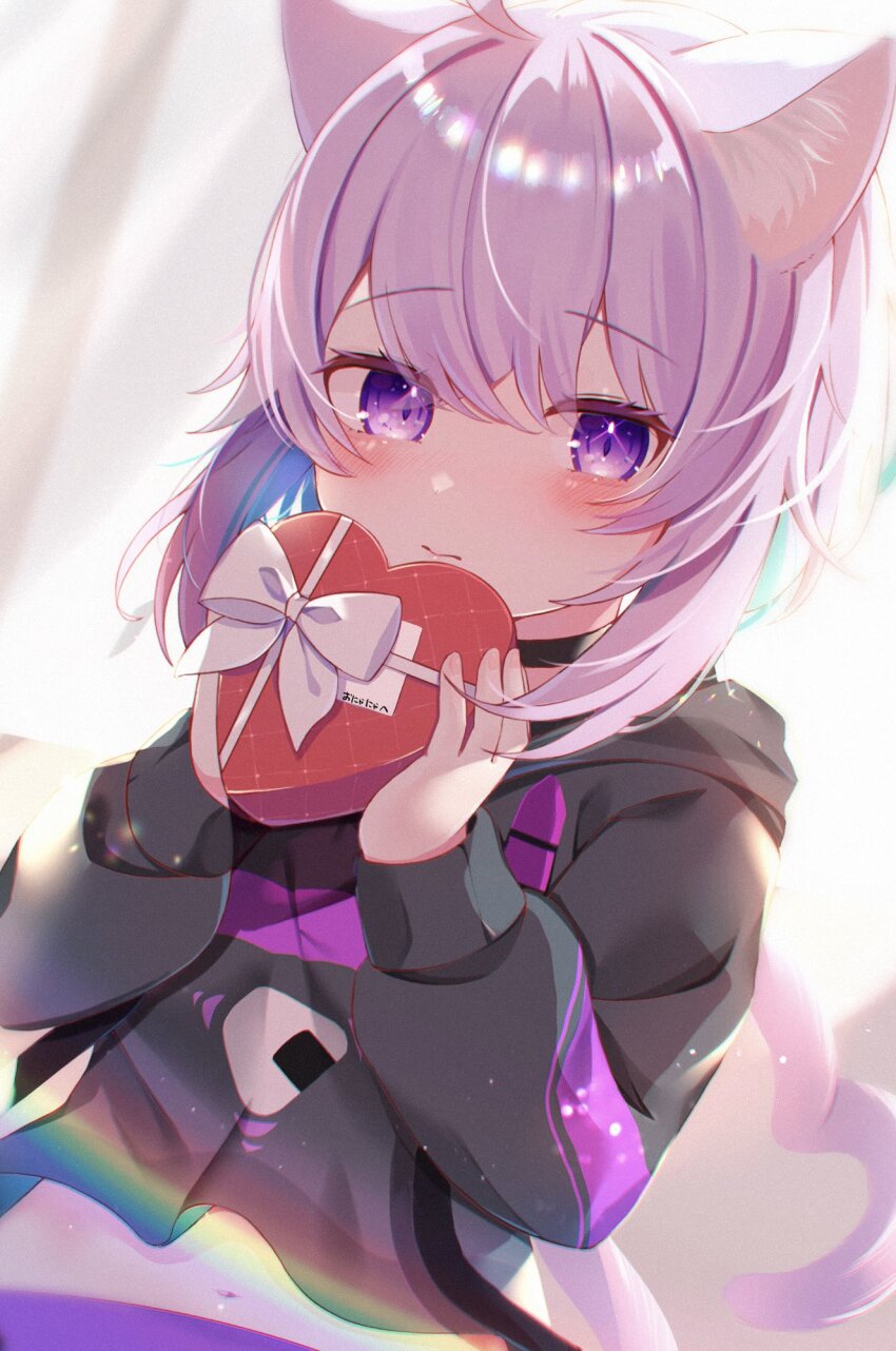 1girl animal_ears candy cat_ears cat_girl cat_tail chocolate chocolate_heart food heart heart_tail highres hololive hood hoodie jacket komiojisan looking_at_viewer medium_hair nekomata_okayu nekomata_okayu_(1st_costume) purple_eyes purple_hair solo tail translation_request valentine virtual_youtuber