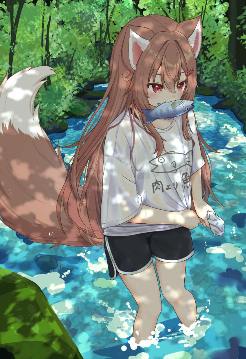 1girl animal_ears animal_print black_shorts brown_hair dolphin_shorts fish fish_in_mouth fish_print hair_ornament hairclip highres long_hair mouth_hold nature original rade_(rade_552) red_eyes shirt shorts tail wading water wet wet_clothes wet_shirt white_shirt wolf_ears wolf_girl wolf_tail wringing_clothes