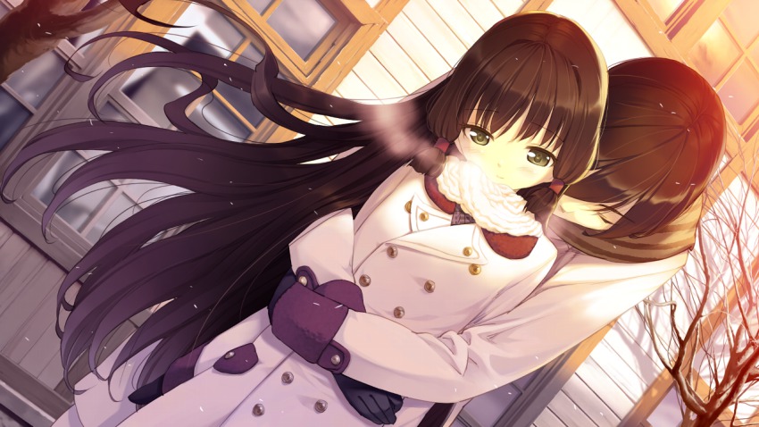 1boy 1girl bare_tree breath coat couple dutch_angle closed_eyes game_cg hetero hug hug_from_behind light_smile long_hair mittens nanatsu_no_fushigi_no_owaru_toki tokito_nanaho tree ueda_ryou very_long_hair window winter_clothes