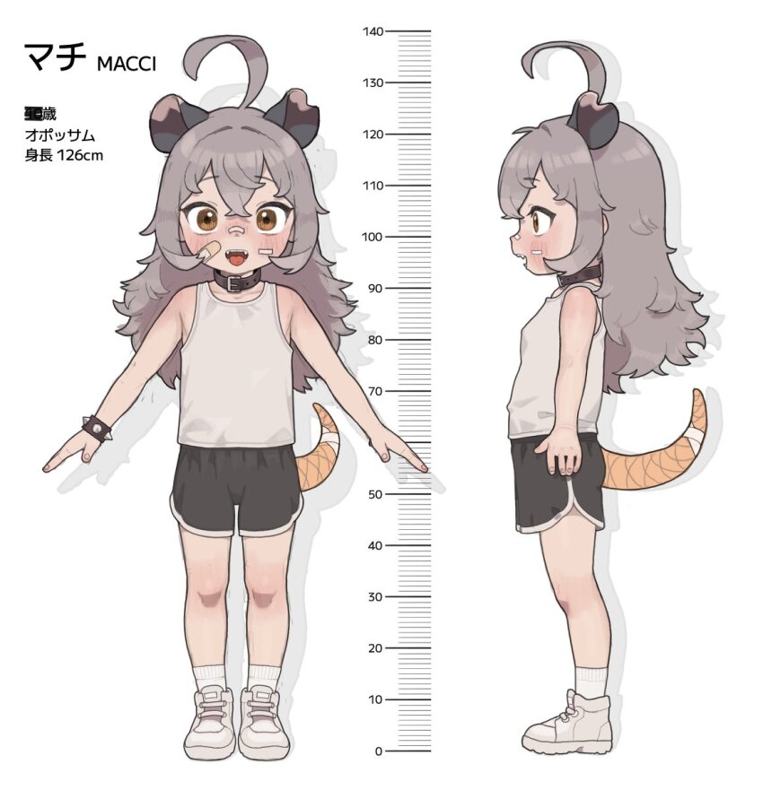 1girl ahoge animal_ears bandaged_tail bandaid bandaid_on_cheek bandaid_on_face bare_arms bare_shoulders black_collar black_shorts blush bracelet brown_eyes character_sheet child collar commentary female_focus flat_chest full_body grey_hair hair_between_eyes height height_chart highres jewelry long_hair macci_(opossumachine) multiple_views opossumachine original shoes shorts simple_background socks spiked_bracelet spikes tail tank_top translation_request white_background white_footwear white_socks white_tank_top