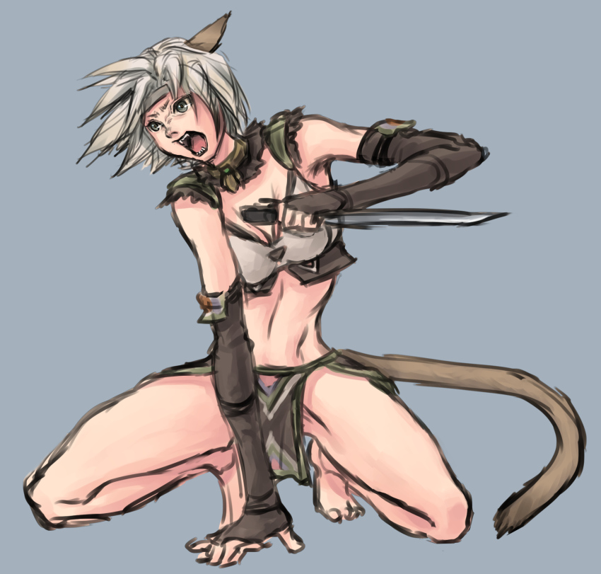 1girl animal_ears adventurer_(ff11) bare_legs barefoot black_gloves breasts brown_tail cactus41747280 cat_ears cat_girl cat_tail cleavage dagger elbow_gloves fangs final_fantasy final_fantasy_xi fingerless_gloves full_body gloves grey_background grey_eyes grey_hair grey_headband headband highres holding holding_dagger holding_knife holding_weapon knife blue_background loincloth medium_breasts midriff mithra_(ff11) short_hair simple_background solo squatting tail teeth weapon