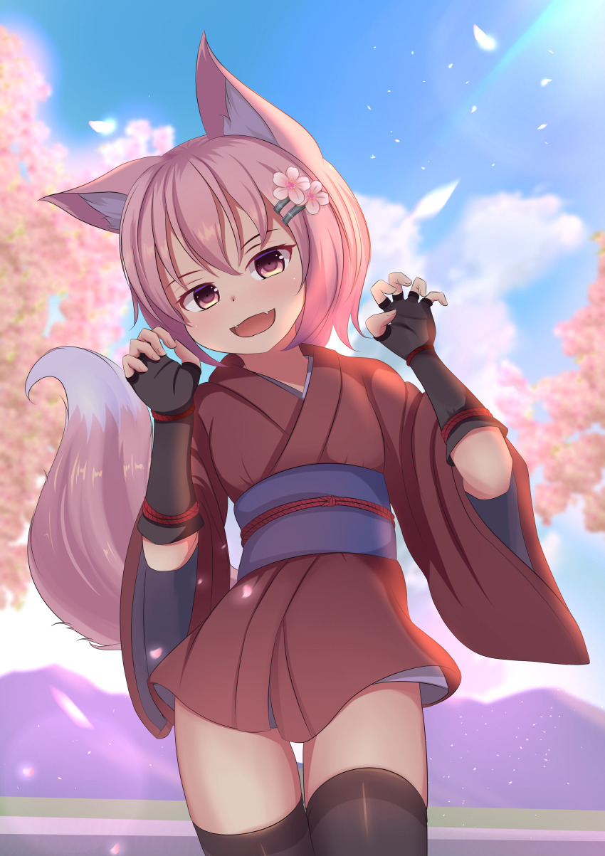 absurdres animal_ears black_thighhighs cherry_blossoms claw_pose commentary cowboy_shot day english_commentary fangs fingerless_gloves fox_ears fox_tail gloves hair_ornament hairclip highres hotel01 japanese_clothes kimono looking_at_viewer obi open_mouth original outdoors petals pink_eyes pink_hair sash short_kimono solo sorbet_(hotel01) tail thighhighs wolf_ears wolf_tail