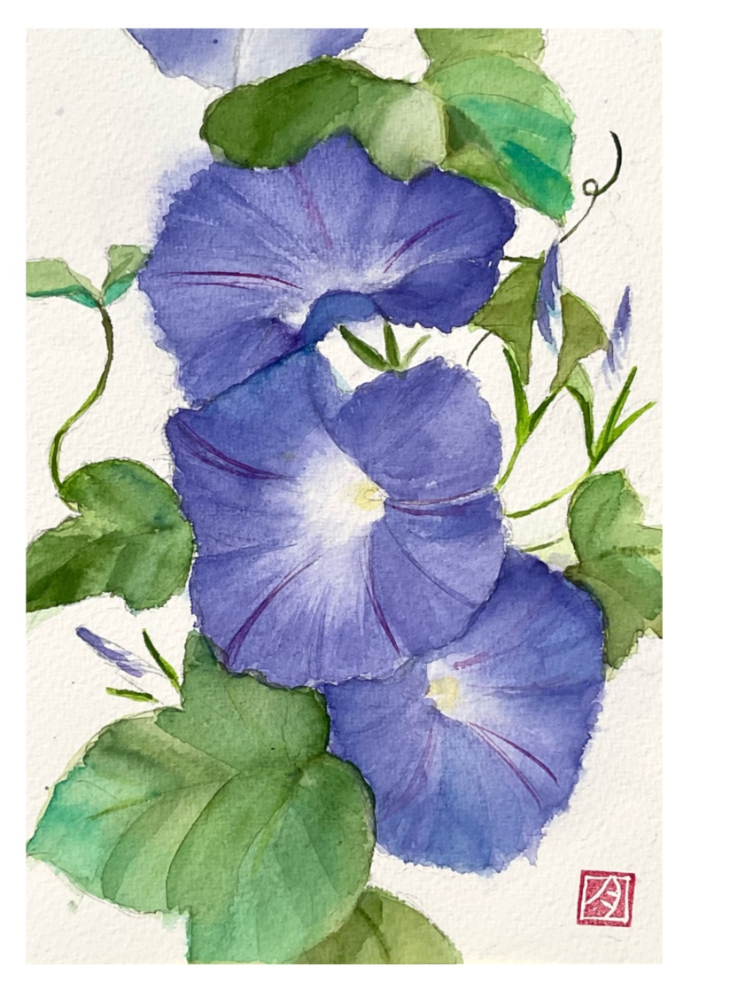 absurdres blue_flower flower flower_focus highres leaf morning_glory no_humans original painting_(medium) plant plant_focus purple_flower sazanka_352 traditional_media vines watercolor_(medium)