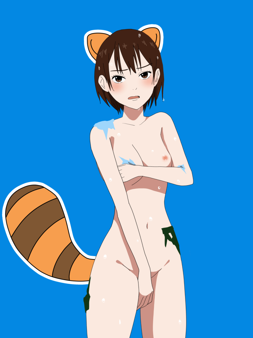 1girl animal_ears blue_background breasts brown_eyes brown_hair collarbone covering_privates covering_breasts covering_crotch feet_out_of_frame female_focus highres matching_hair/eyes navel nipples nozomi_(sonny_boy) nude open_mouth raccoon_ears raccoon_tail sarura short_hair small_breasts sonny_boy standing tail thighs torn_clothes torn_legwear wet wet_hair