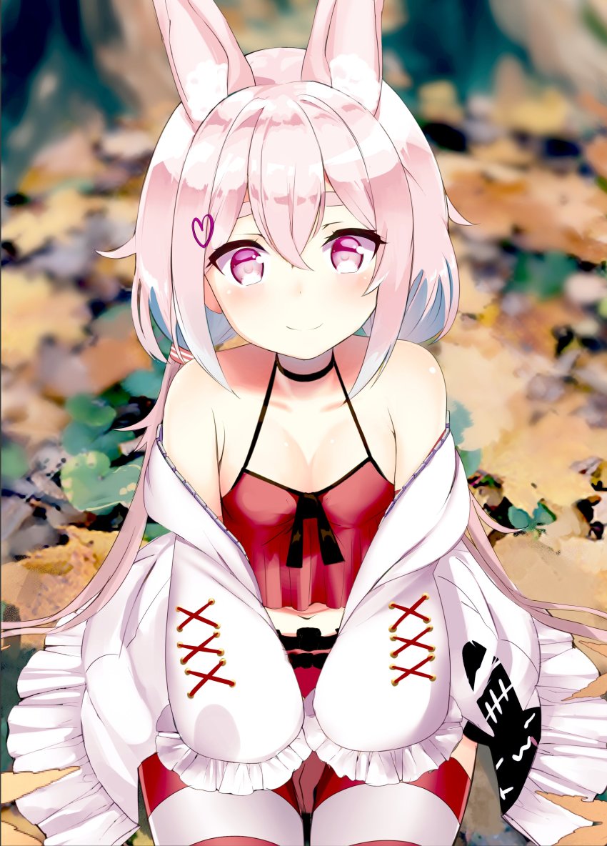 1girl absurdres animal_ear_fluff animal_ears autumn_leaves between_legs breasts camisole choker cleavage commentary_request female_focus hair_ornament hairclip hand_between_legs highres indie_virtual_youtuber jacket leaf long_hair low_twintails midriff navel odeclea off_shoulder outdoors pink_eyes pink_hair rabbit_ears red_camisole red_shorts short_shorts shorts sitting small_breasts smile solo thigh_strap thighhighs tomari_mari twintails virtual_youtuber white_jacket