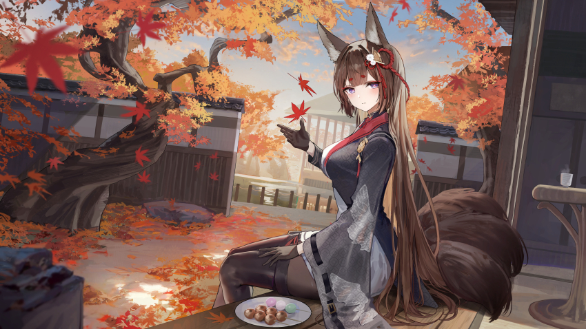 1girl absurdres amagi_(azur_lane) amagi_(cv)_(azur_lane) animal_ears architecture autumn autumn_leaves azur_lane black_gloves black_jacket black_pantyhose brown_hair closed_mouth commentary_request dango east_asian_architecture food fox_ears fox_girl fox_tail from_side gloves hand_up hidulume highres jacket kitsune kyuubi leaf maple_leaf multiple_tails pantyhose plate purple_eyes shirt sitting skirt tail tatami wagashi white_shirt white_skirt