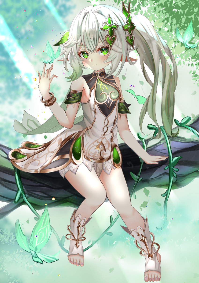 1girl absurdres bracelet branch bug butterfly cape closed_mouth cross-shaped_pupils dress full_body genshin_impact green_cape green_eyes hair_ornament highres insect jewelry leaf_hair_ornament long_hair looking_at_viewer mitsu336 nahida_(genshin_impact) outdoors pointy_ears ponytail sitting smile solo symbol-shaped_pupils toeless_footwear white_dress white_hair