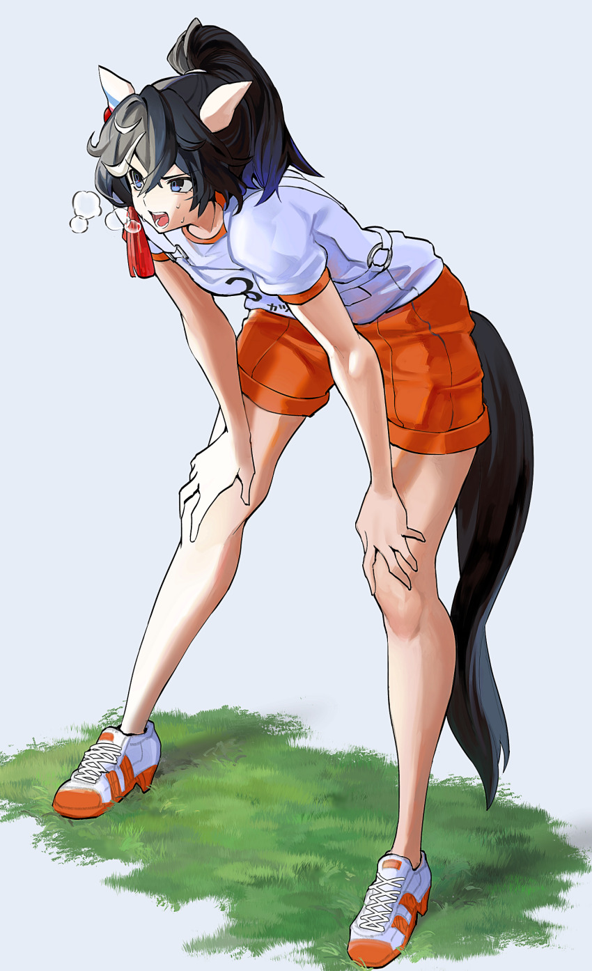 1girl absurdres animal_ears black_hair blue_eyes commentary_request full_body grass grey_background hair_between_eyes hair_ornament hands_on_own_knees highres horse_ears horse_girl horse_tail katsuragi_ace_(umamusume) medium_hair multicolored_hair nerutora open_mouth orange_footwear orange_shorts original_race_uniform_(umamusume) ponytail race_bib shirt shoes shorts simple_background sneakers solo standing streaked_hair sweat tail tassel tassel_hair_ornament teeth umamusume visible_air white_hair white_shirt