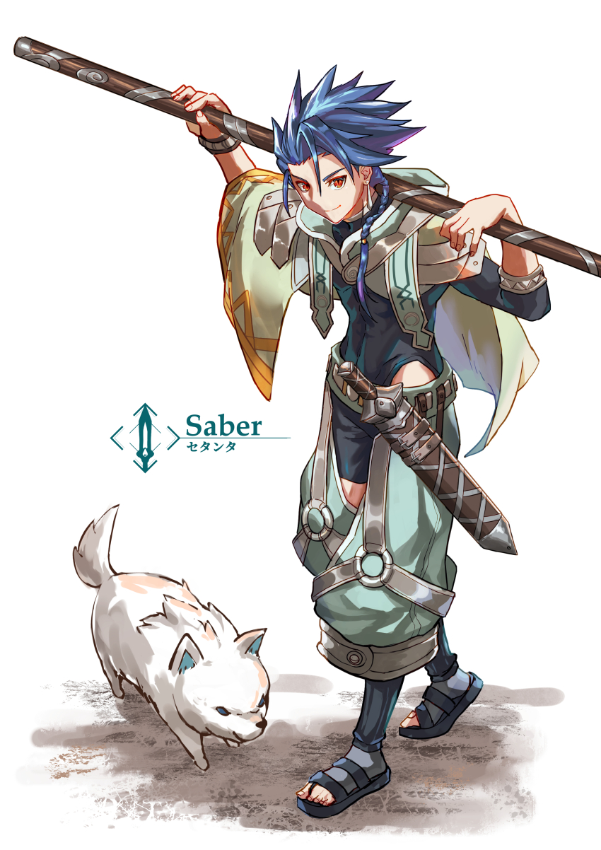 1boy absurdres blue_hair braid commentary_request cu_chulainn_(fate) fate/grand_order fate_(series) full_body highres holding holding_polearm holding_weapon male_focus polearm red_eyes setanta_(fate) simple_background solo sword toeless_footwear tsugu0302 weapon white_background white_dog