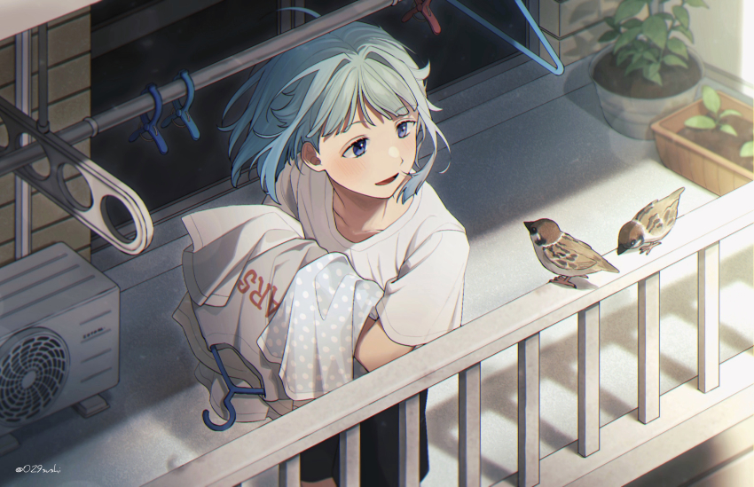 1boy ahoge androgynous animal artist_name balcony bird black_shorts blue_hair blurry bokeh chiba_(satochikasmart) clothes_hanger clothesline condenser_unit day depth_of_field door ensemble_stars! eurasian_tree_sparrow eye_contact film_grain from_above glass_door grey_eyes hair_intakes hand_up highres holding holding_unworn_clothes light_smile looking_at_animal looking_at_another looking_to_the_side male_focus medium_hair outdoors parted_lips plant potted_plant railing shino_hajime shirt short_sleeves shorts sparrow standing sunlight swept_bangs t-shirt tareme white_shirt wind