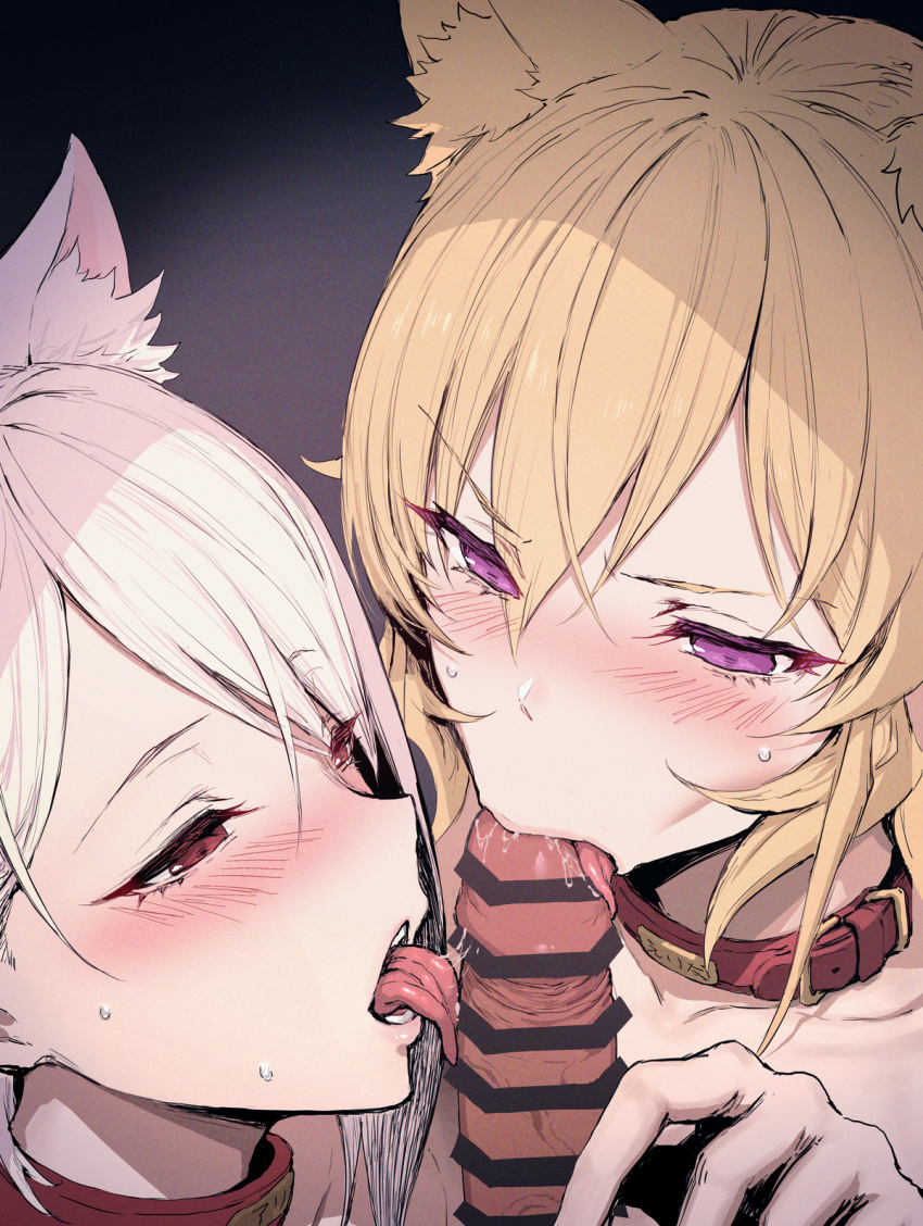 1boy 2girls animal_collar animal_ear_fluff animal_ears bar_censor bdsm blonde_hair blush cat_ears censored collar collarbone cooperative_fellatio cousins erection extra_ears fellatio ffm_threesome gradient_background grey_background group_sex hair_between_eyes haoni hetero highres licking licking_penis long_hair multiple_girls nakiri_alice nakiri_erina oral penis purple_eyes red_eyes saliva shokugeki_no_souma short_hair slave teamwork_(sexual) threesome tongue tongue_out white_hair