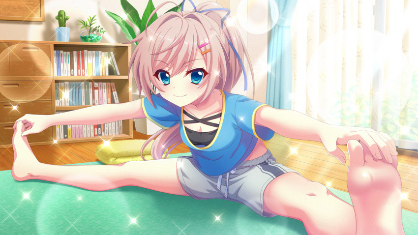 1girl ahoge barefoot blue_eyes blue_ribbon blue_shirt book bookshelf breasts cactus cleavage closed_mouth collarbone curtains dot_nose film_grain game_cg grey_shorts hair_ornament hair_ribbon hairclip high_ponytail himura_nagisa izumi_tsubasu leaning_forward lens_flare long_hair looking_at_viewer midriff_peek non-web_source official_art pink_hair plant potted_plant re:stage! ribbon shirt shorts sitting small_breasts smile soles solo sparkle stretching sweat swept_bangs toes wooden_floor yoga yoga_mat