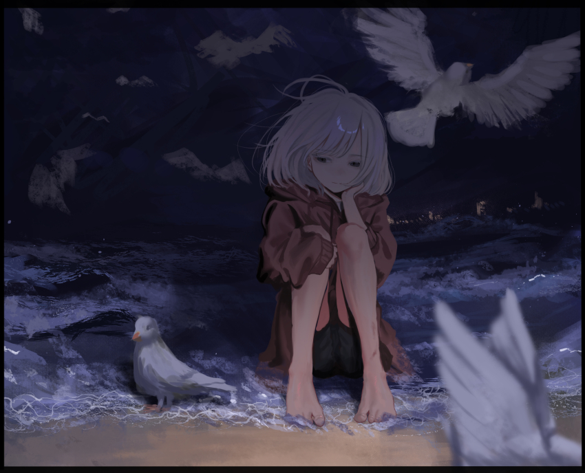 1girl :| absurdres barefoot beach bird black_border black_shorts blurry border brown_hoodie closed_mouth dark depth_of_field dot_nose expressionless floating_hair full_body grey_eyes grey_hair hair_intakes highres hood hood_down hoodie kyano_(kyanora3141) light_particles long_sleeves medium_hair night ocean original outdoors sand seagull shorts sitting solo water white_hair